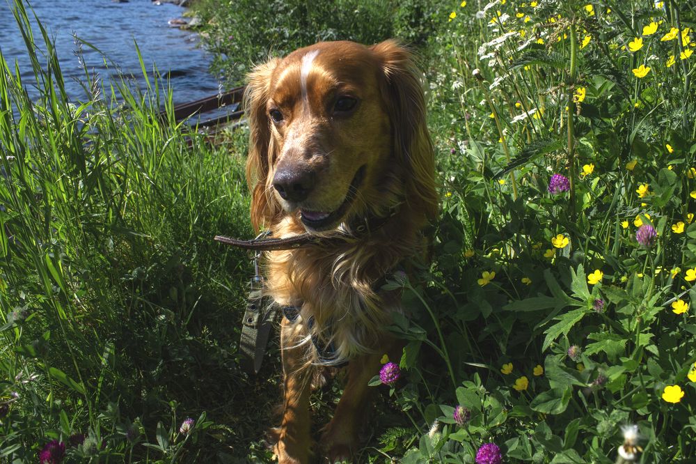 Photograph by Виктория Браун