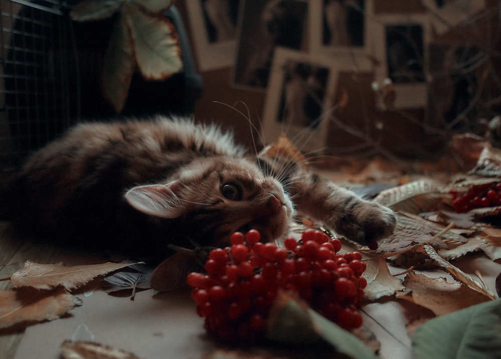 Photograph by Ольга Филатова