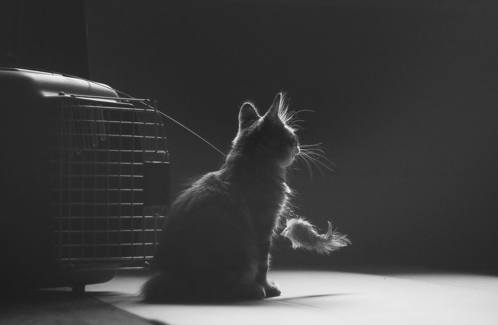 Photograph by Ольга Филатова