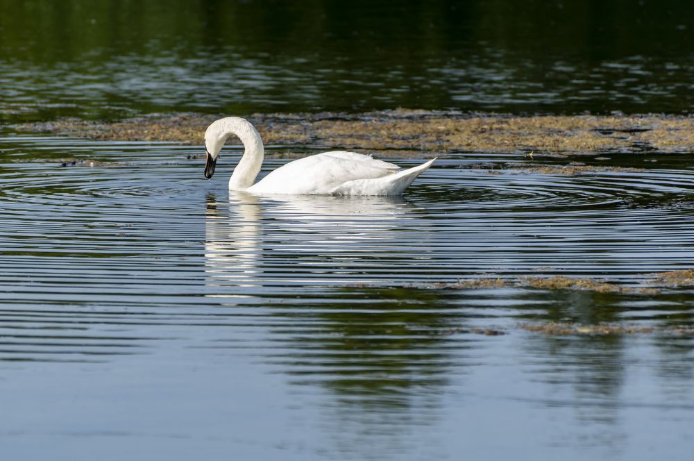 Фотография автора Павлов Дмитрий