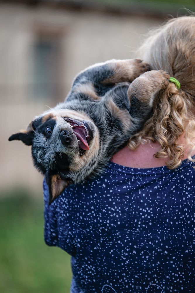 Photograph by Юлия Гончар