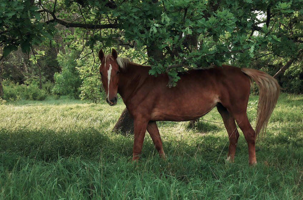 Photograph by Ольга Филатова