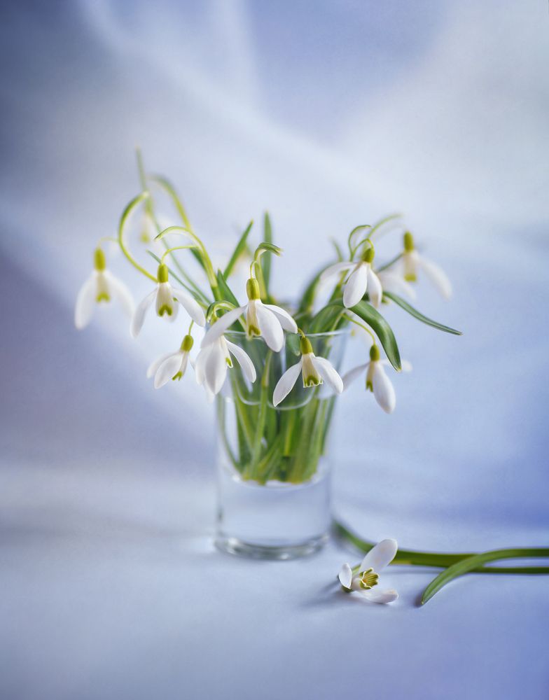 Photograph by Екатерина Запоздаева