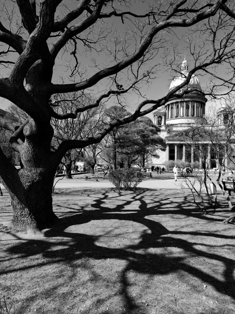 Photograph by Крицак Ольга