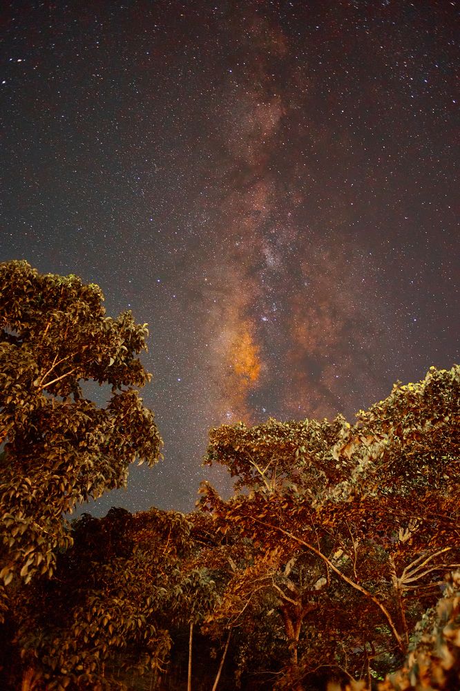 Photograph by Luis Manuel Jiménez Tabares