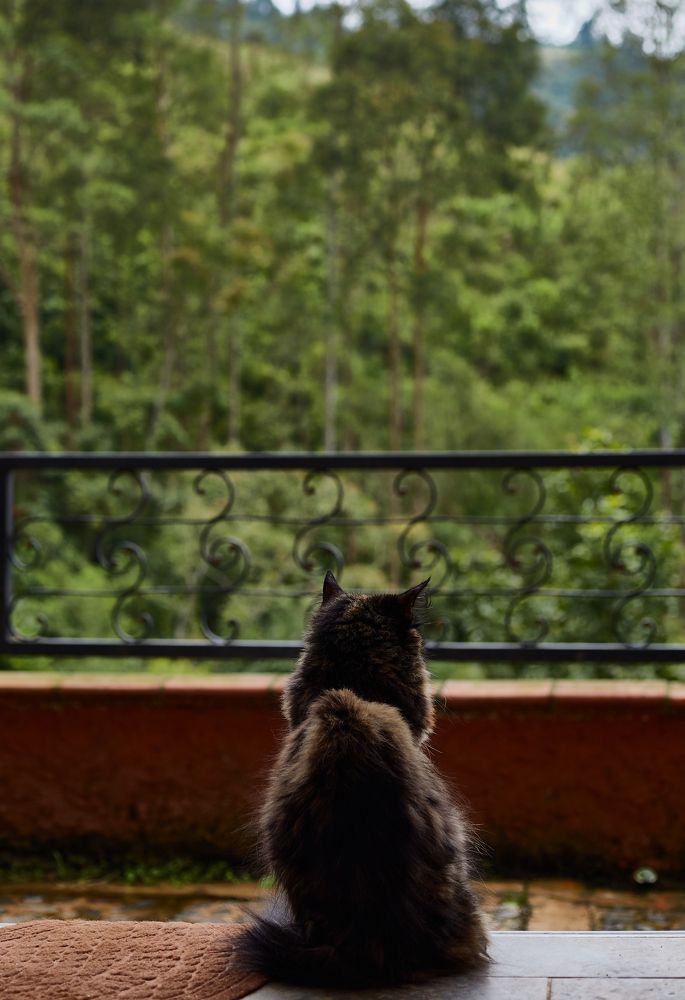 Photograph by Luis Manuel Jiménez Tabares