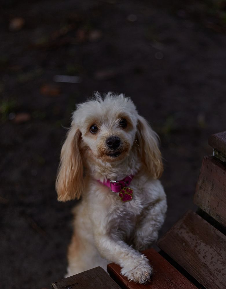 Photograph by Luis Manuel Jiménez Tabares