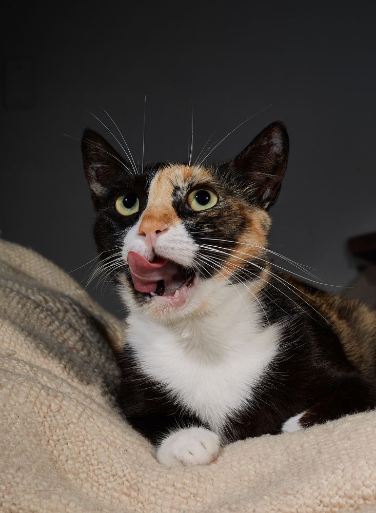 Photograph by Luis Manuel Jiménez Tabares