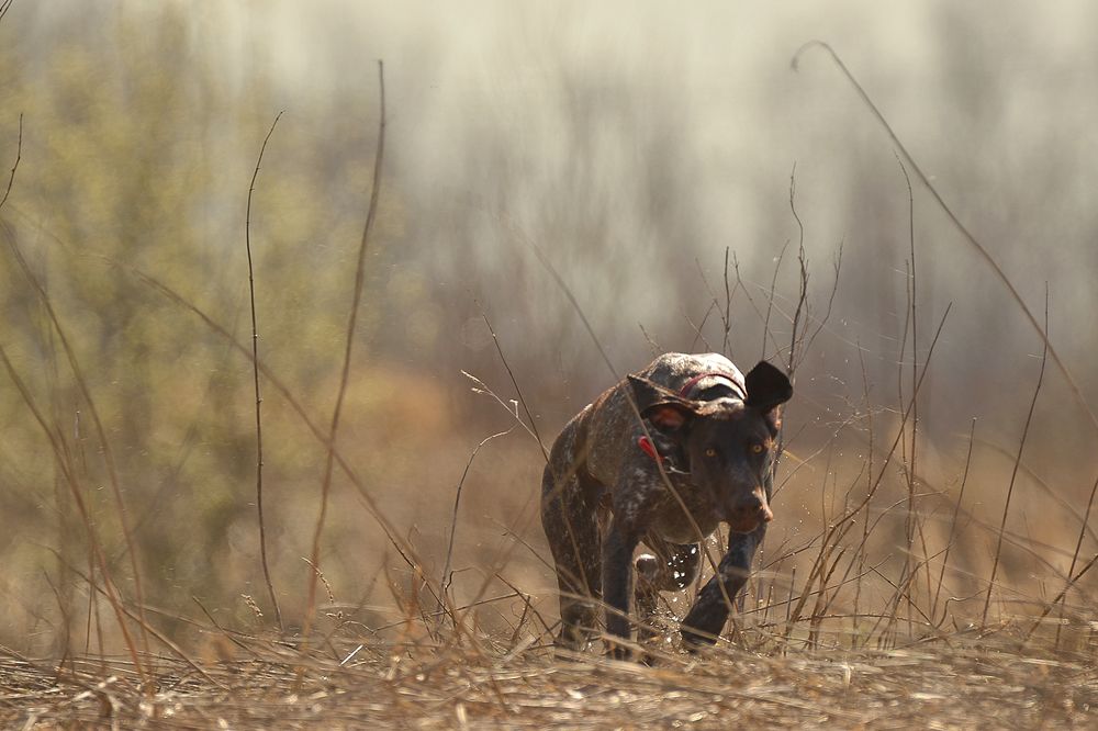 Photograph by Наталья