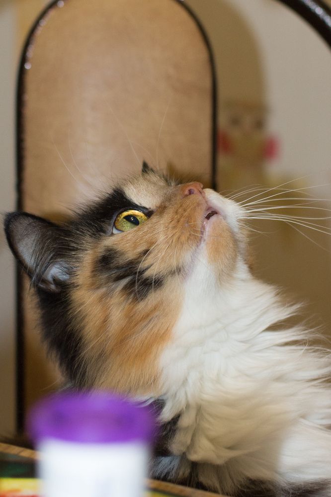 Photograph by Иван Полиненко