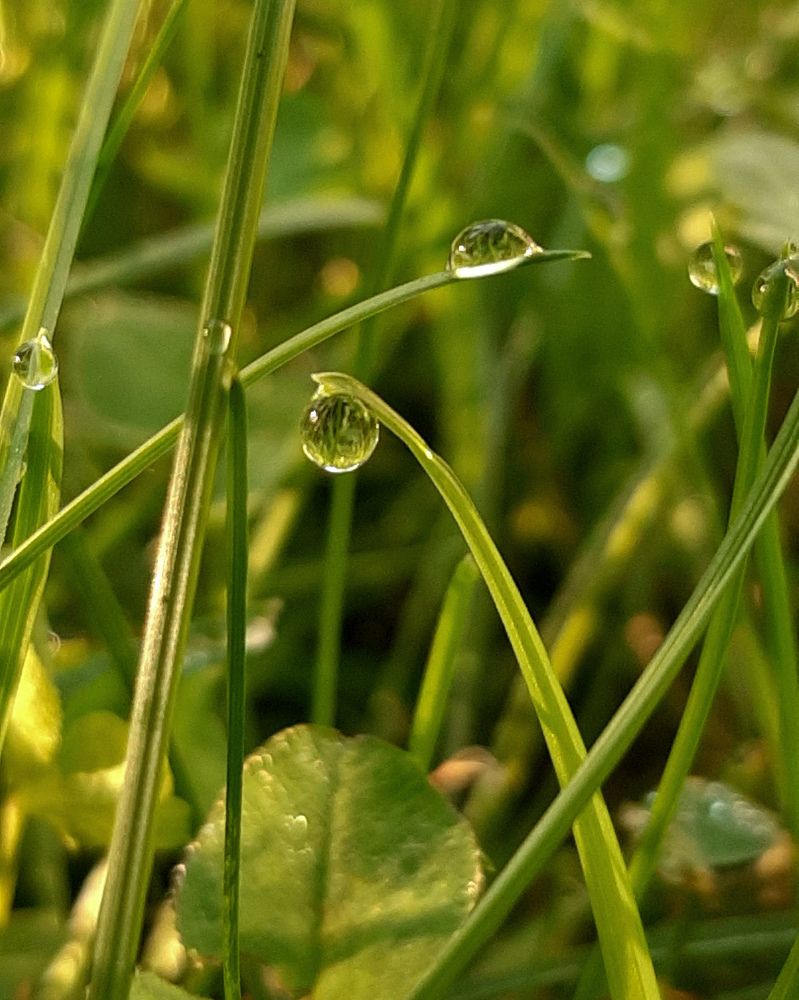 Photograph by Оксана Корепанова