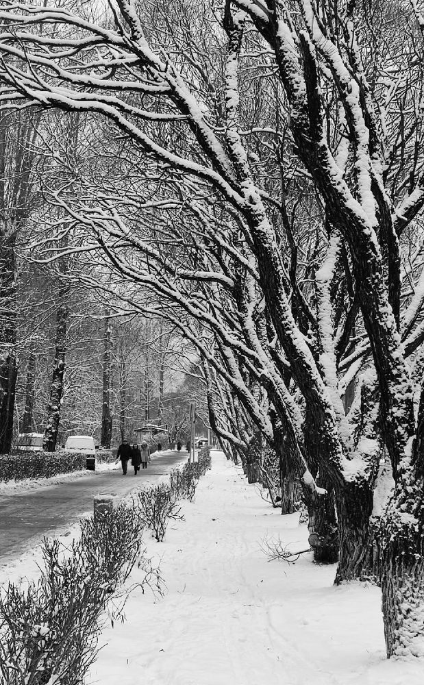 Photograph by Крицак Ольга