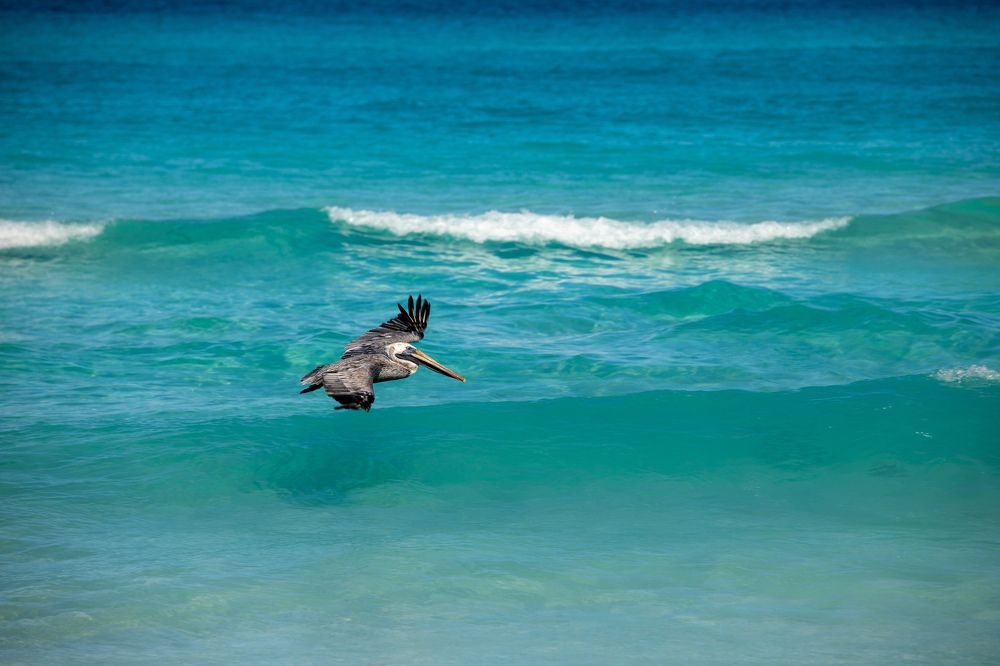 Photograph by Илья Юфа