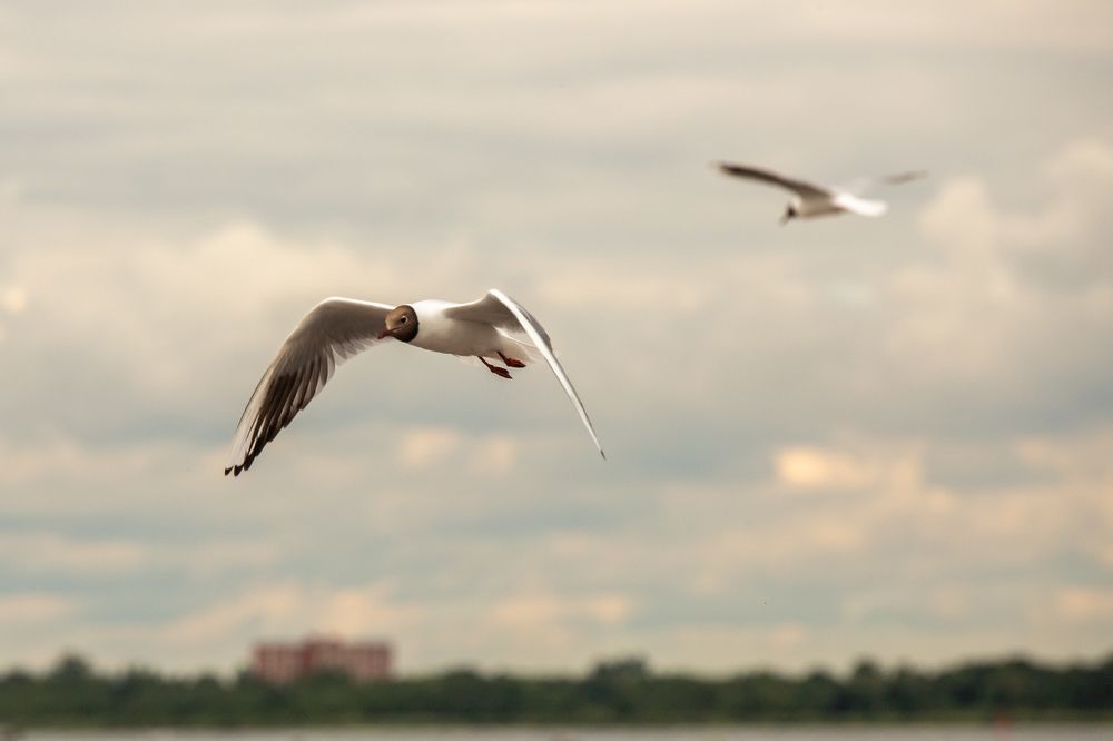 Photograph by Илья Юфа