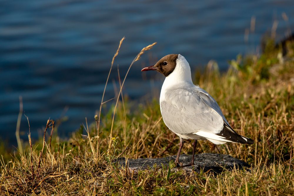 Photograph by Илья Юфа