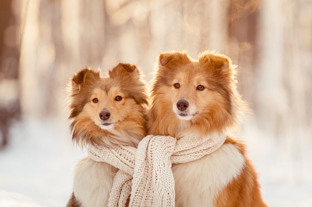 Photograph by Ирина Богатырева