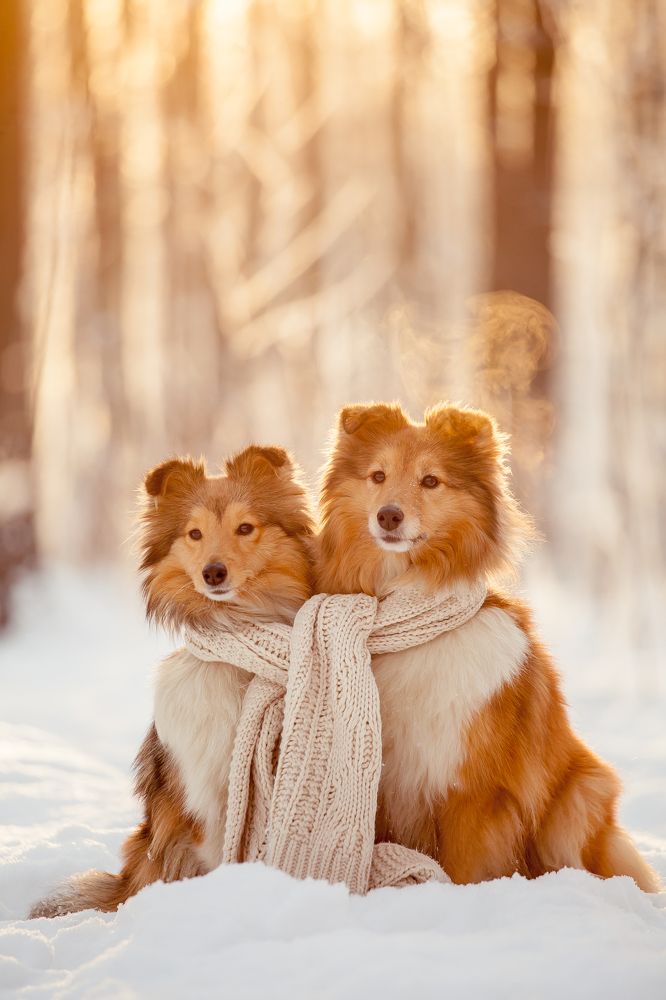 Photograph by Ирина Богатырева