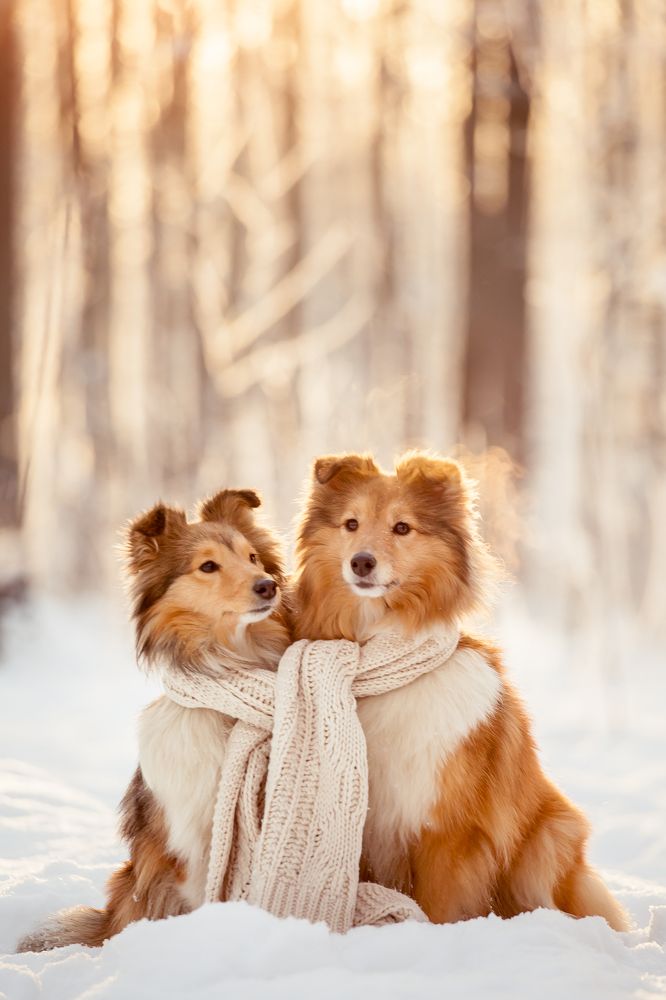 Photograph by Ирина Богатырева