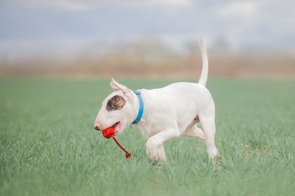 Photograph by Анна Григорьева