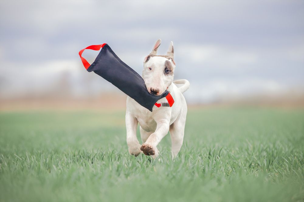 Photograph by Анна Григорьева