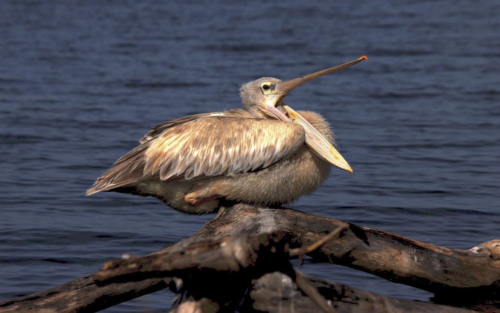 Photograph by Epp Tappel