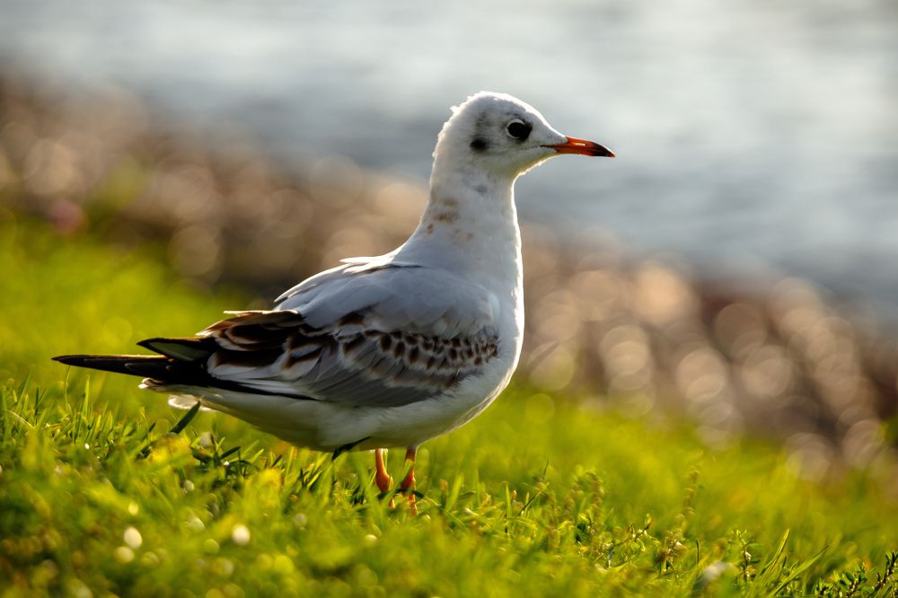 Photograph by Илья Юфа