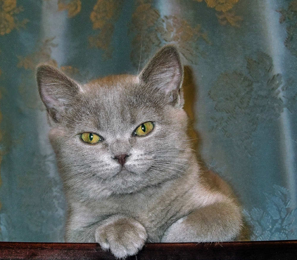 Photograph by Николай Зернов