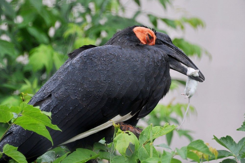 Photograph by Дмитрий Розенбаум