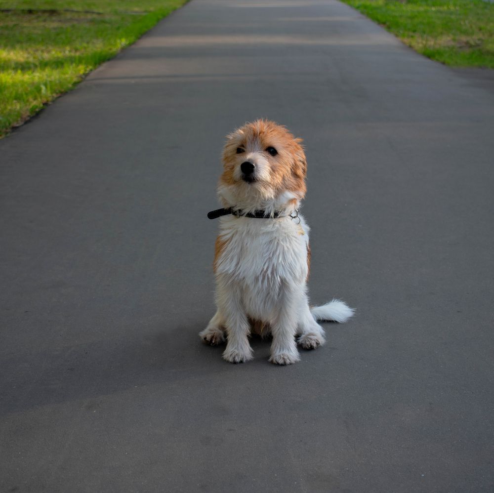 Photograph by Зураб Бабаев