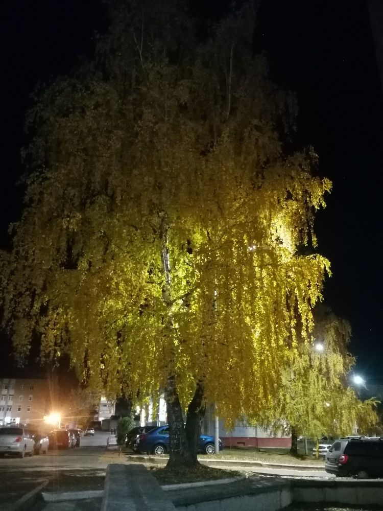 Photograph by Олег Россохин