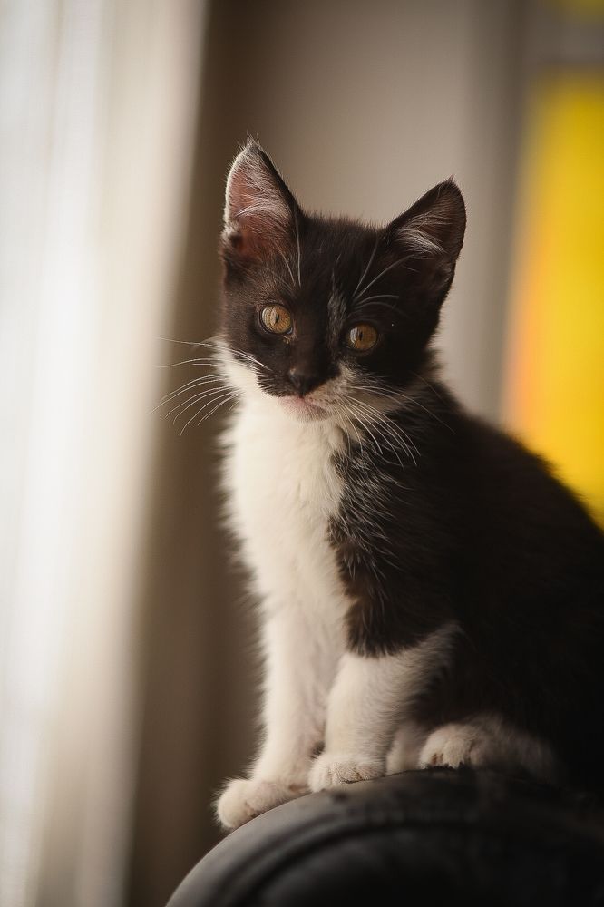 Photograph by Gisela Rasquela