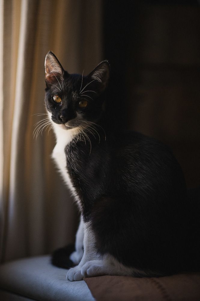 Photograph by Gisela Rasquela