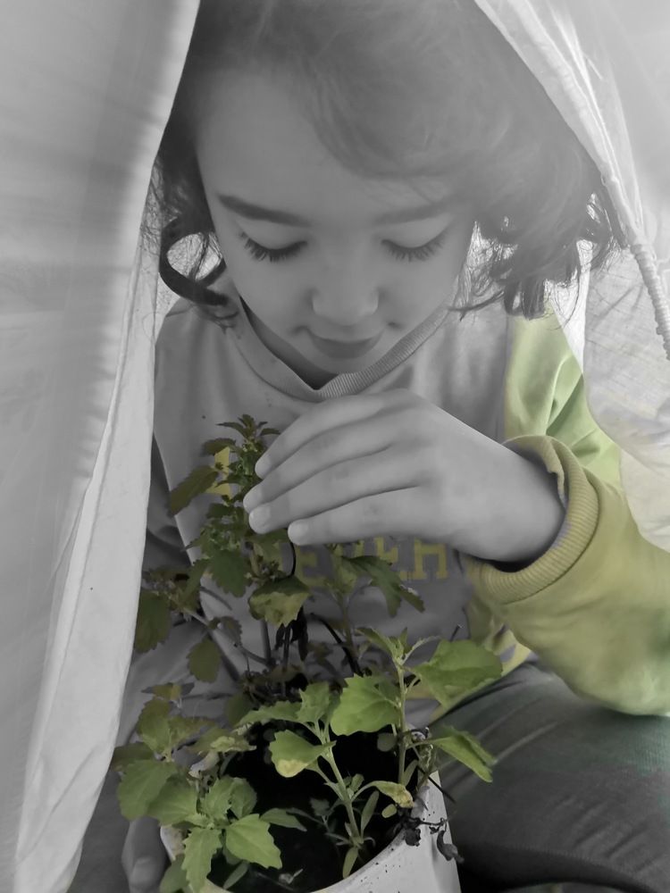 Photograph by Fatima-Zahra Moufaddal