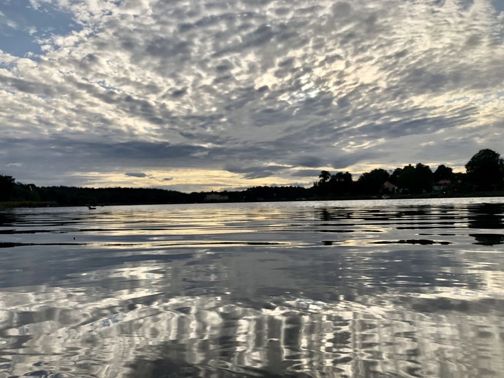 Reflection of purity