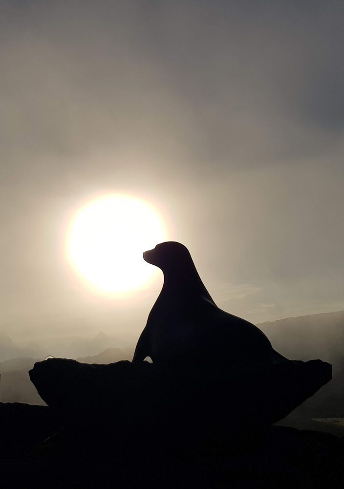 Seal and Sun
