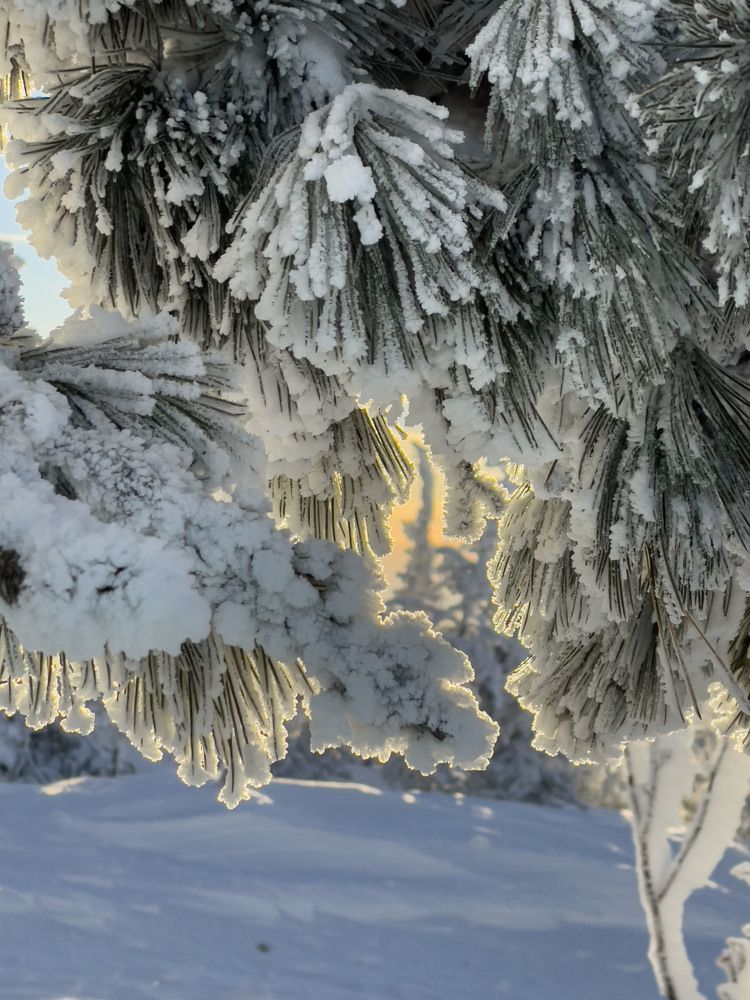 Photograph by Елена Князева