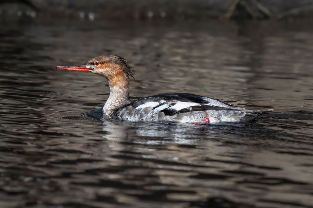 Photograph by Ирина Ульянова