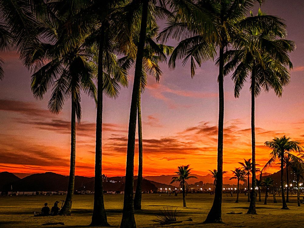 Фотография автора Regina Sant Anna