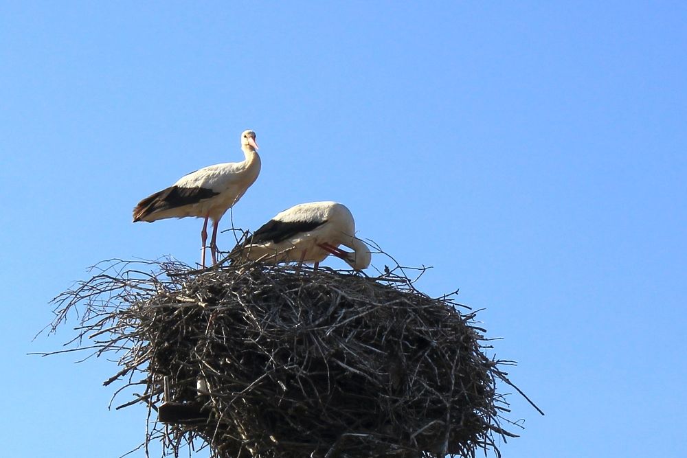 Photograph by Olga Bagaeva