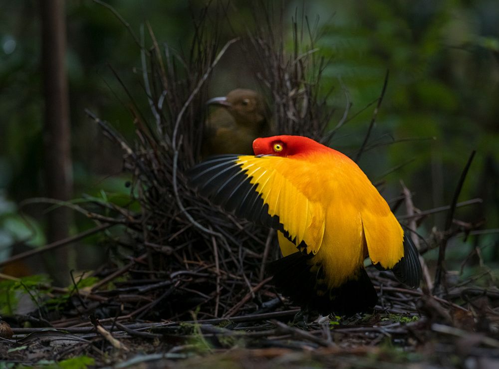 Photograph by Dustin Chen