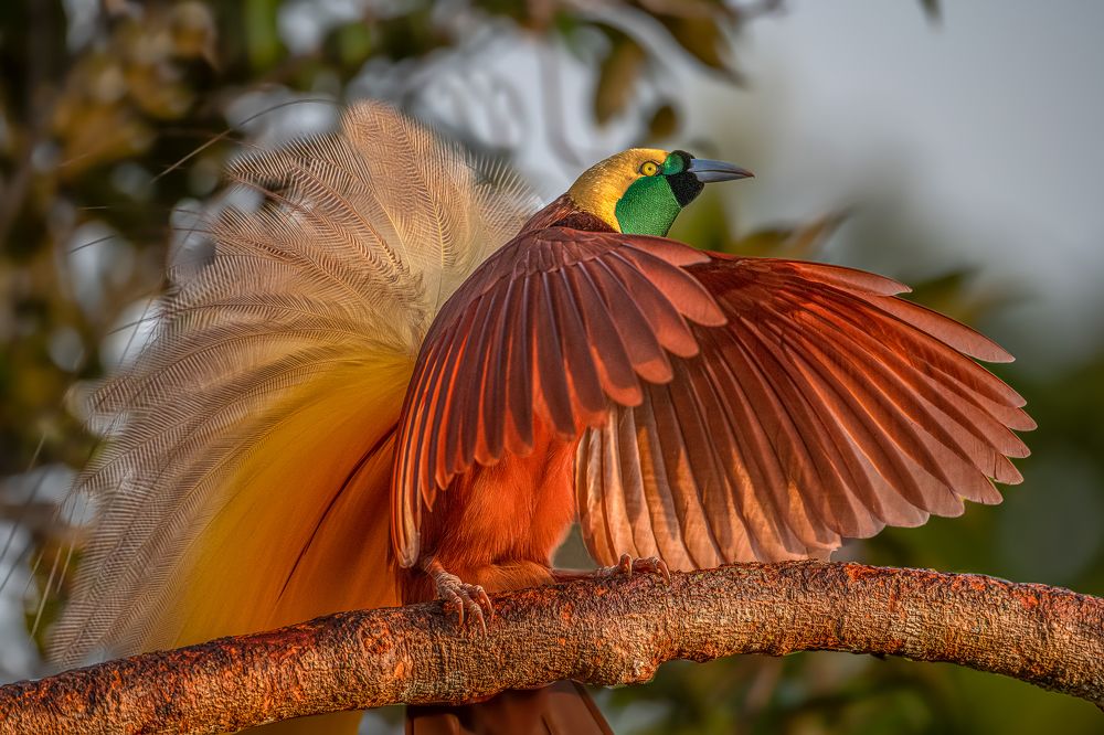 Photograph by Dustin Chen