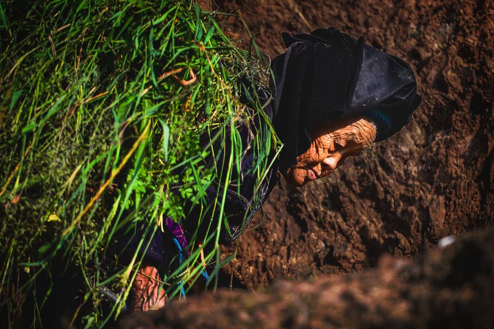 Photograph by long dương