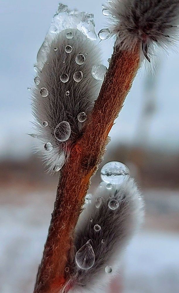 Photograph by Лера