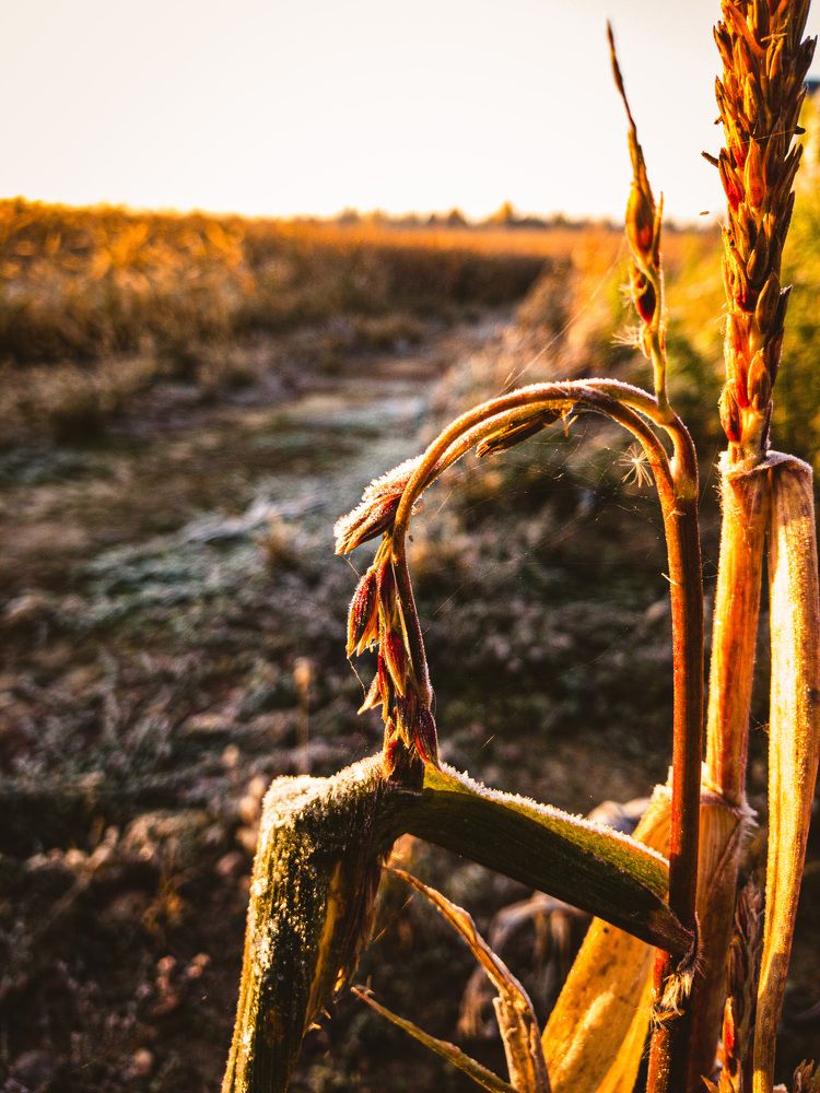 Photograph by Светлана Гринкевич