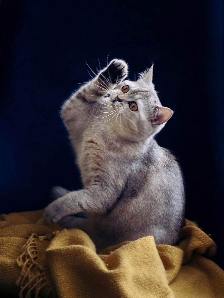 Photograph by Oxana Rovitskaya