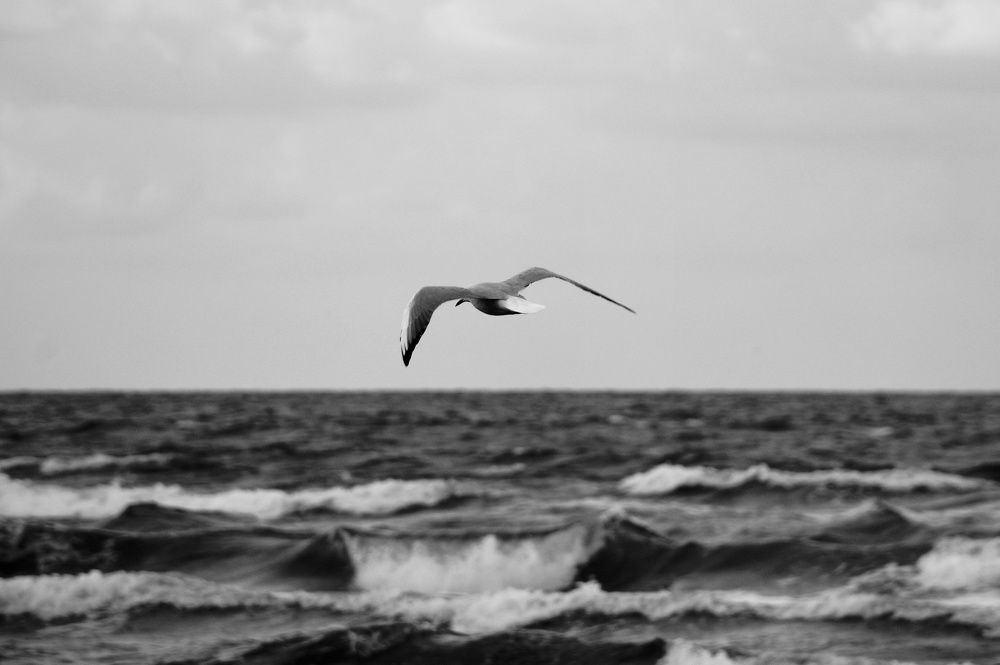 Photograph by Kasra Saadatju