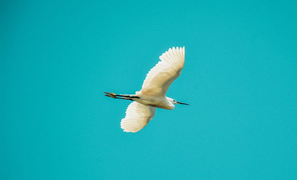 Photograph by Kasra Saadatju