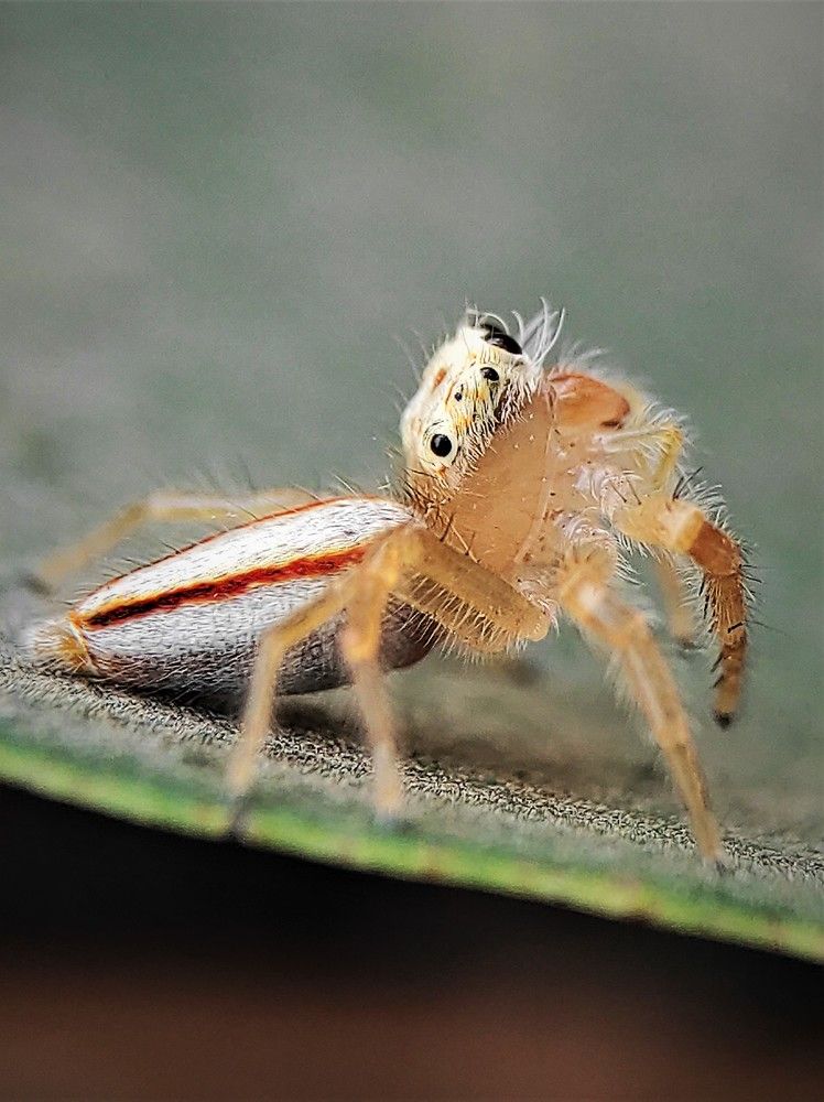 Photograph by Dharmendra Padhiyar