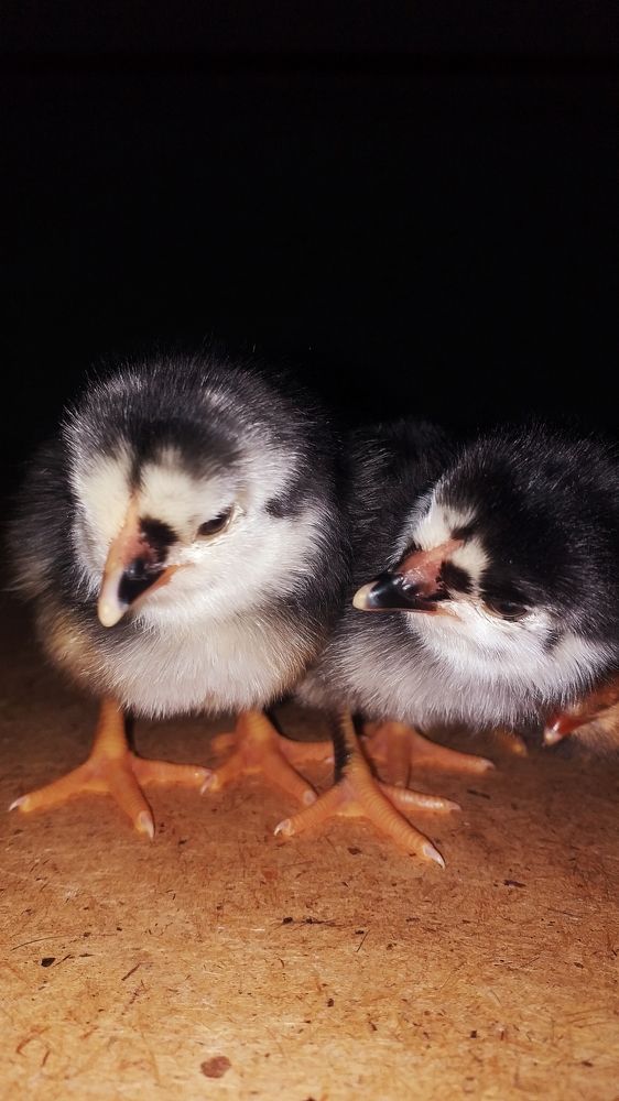 Photograph by Orzigul Babaniyozova