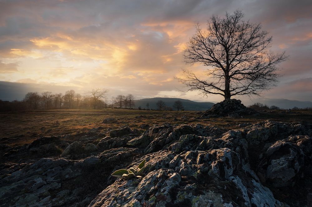 Photograph by George Soumelidis Photography